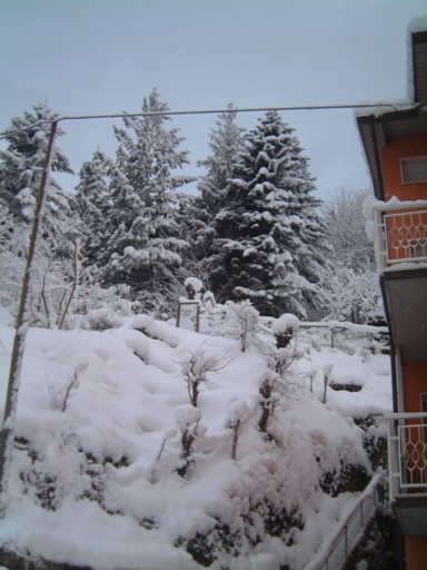  Image name: DSCF5085.JPG 
 width: 384 pixel 
 height: 512 pixel 
 Size: 55746 bytes 
 Click to enlarge 